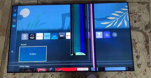 Samsung 65 inch - Broken Screen