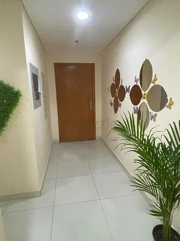 Dear Tenants 😊 partition is available and ready to move.