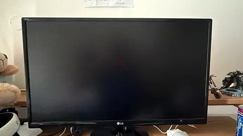 LG MONITOR