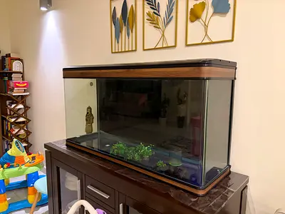 Large Aquarium for Sale