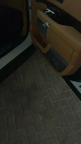 2026 Zeekr 009 照片 5