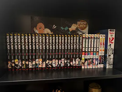Complete Demon Slayer (Kimetsu no Yaiba) Manga Collection -chainsaw man dragon ball and vagabond