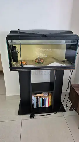 Aquarium
