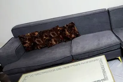 Sofa couch