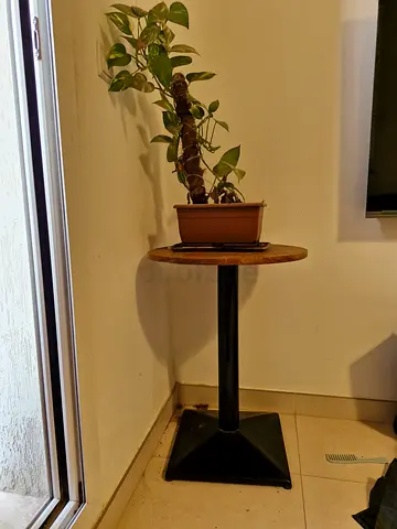 Small round pedestal side table with black base