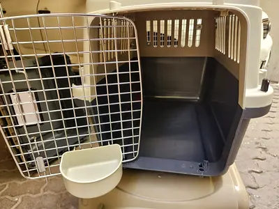 Cats and dogs carriers for air travel with metal mesh attached to the create windows