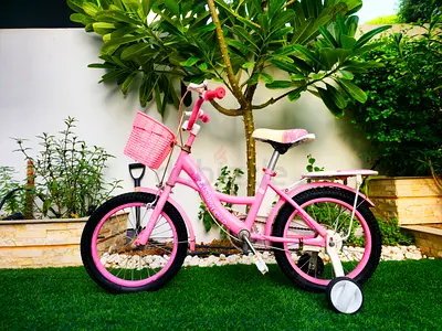 Pink Kids Bicycle with Training Wheels and Front Basket - Perfect Condition Tyre Size 16 inch