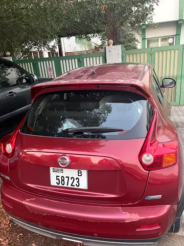2013 Nissan JUKE 照片 8