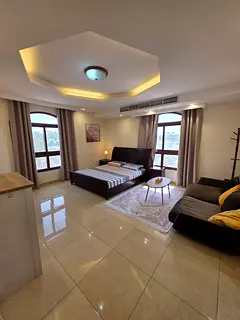 Spacious & Fully Furnished 1 Bedroom Hall in Al Barsha 3