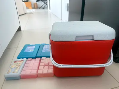 Portable Insulated Cooler Box with Ice Packs - Good Condition & NEW cake baking mold and strainers