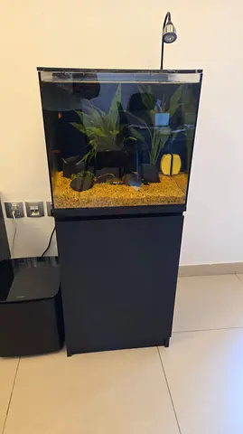 Premium Aquadium for sale