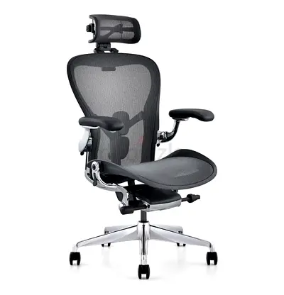 Remastered Version Herman Miller Chair Fully Options Excellent Condition with Headrest