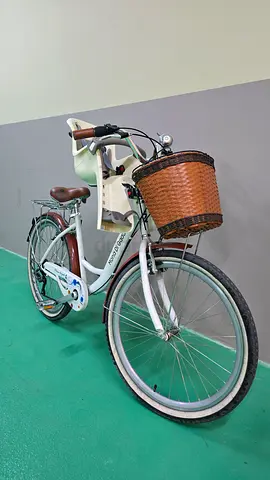 city bike 6 speed with/without child seat and front wicker basket