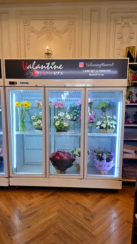 3 door fridge
