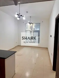 One bedroom and a living room City Tower – 29,000 annually Payment: 4 cheques Security deposit: Ch