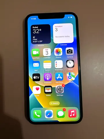 Apple iPhone X