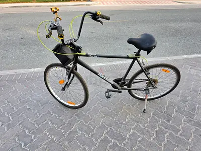Custom Mountain Bike
