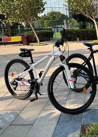 Rockrider ST100 (White adult mountain bike) - throw away price