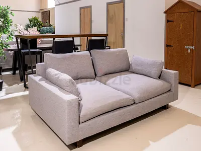 West Elm Sofa Gray