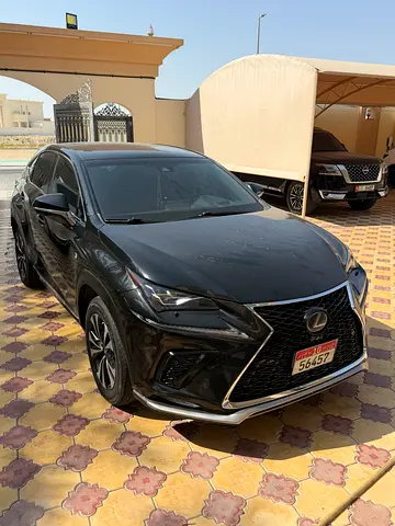 2019 Lexus NX-SERIES 照片 4