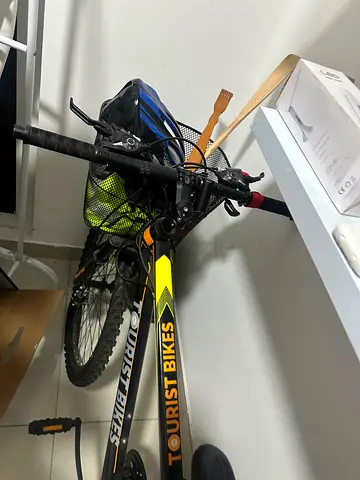 Sport