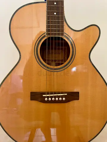 Guitar - Fleetwood semi acoustic