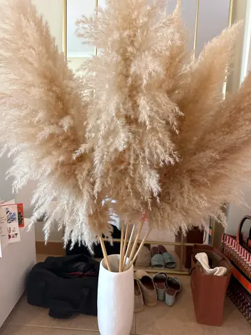 Decorative Pampas Grass Arrangement in White Vase - Ready to Display- 7 sticks