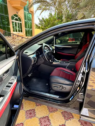 2019 Lexus NX-SERIES 照片 3
