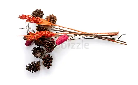 Natural Pinecone & Dried Flower Decorative Stem Bundle