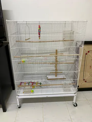 Bird cage