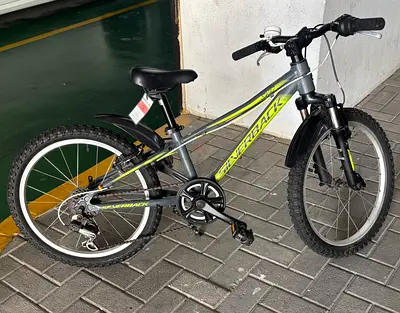 Bicycle silverback aluminium 20 inch