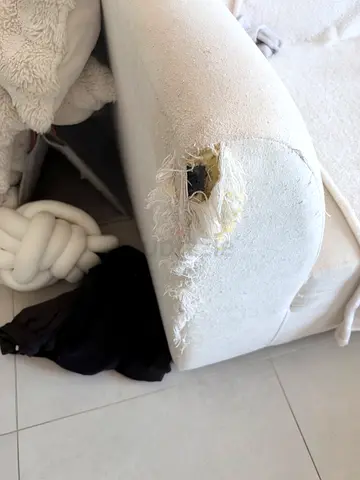 Sofa ( free )
