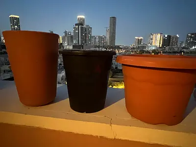 Large Plant Pots – For Sale