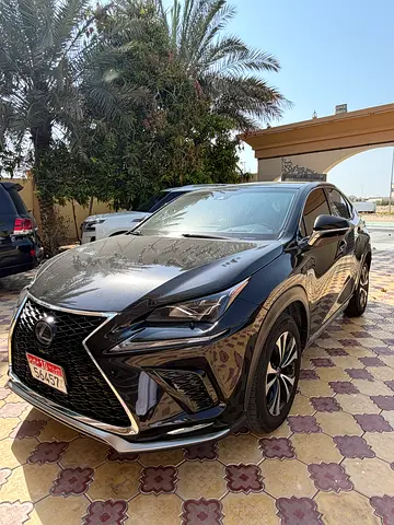 2019 Lexus NX-SERIES 照片 2