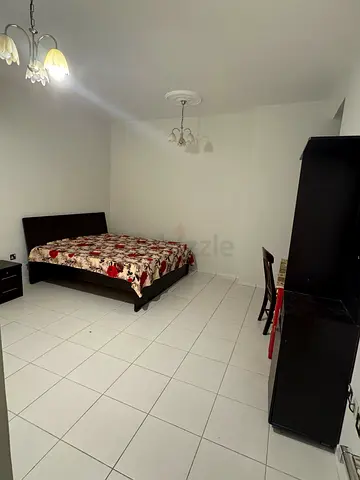 Furnished Room available for Indian single executive lady near NMC hospital electra street