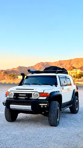2008 Toyota FJ CRUISER — фото 1