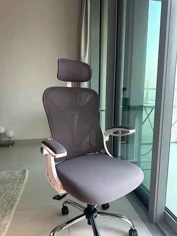 Classifieds: HOLLUDLE Office Chair with Folding Backrest, Ergonomic ...