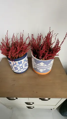 Set of 2 Decorative Ceramic Plant Pots with Heather