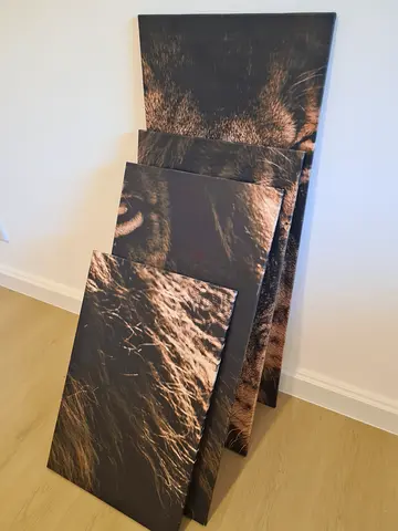 Set of 4 Lion Close-Up Wall Art Canvases