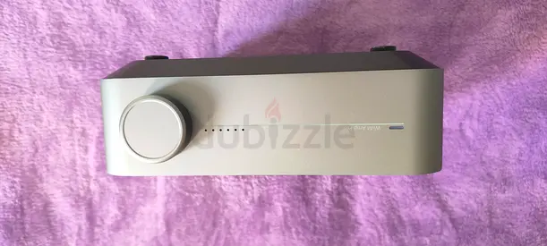Wiim Amp Pro