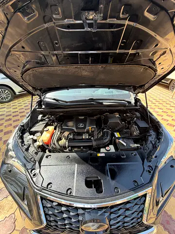 2019 Lexus NX-SERIES 照片 6