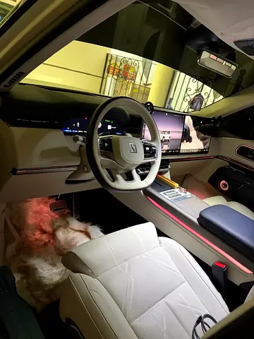 2025 Zeekr 9X 照片 5
