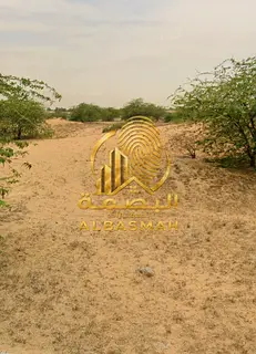 Industrial Land for Sale in Arqoob Industrial Area, Sharjah