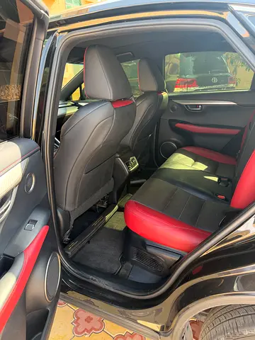 2019 Lexus NX-SERIES 照片 1