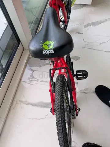 Frog bike - kid's mountain bike - great condition (not used much as got small too quickly for us).