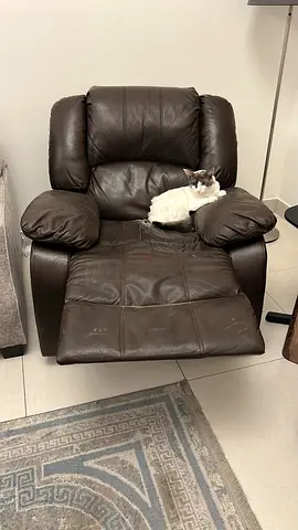 Recliner