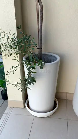 Tall white plastic planter pot with saucer - good condition
