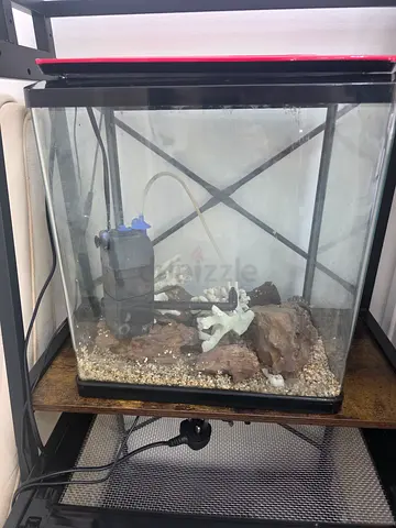 Fish tank for sale