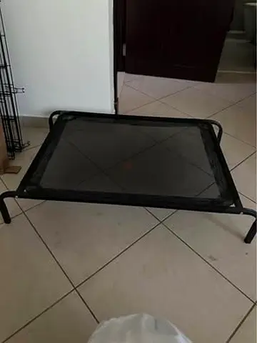 Elevated Mesh Dog Bed/Cot - Sturdy, Good Condition