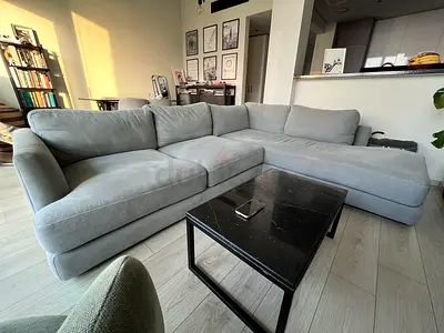 WEST ELM  | Feather Grey Sofa